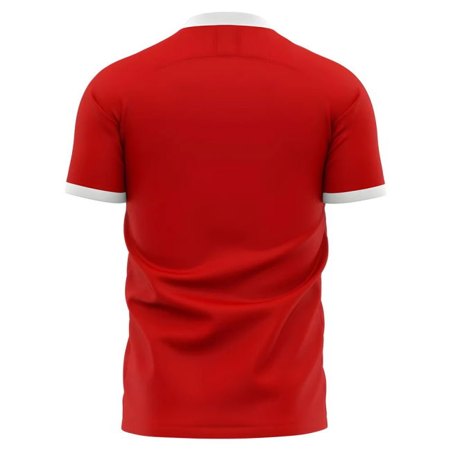 2025-2026 Jahn Regensburg Home Concept Football Shirt