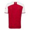 2020-2021 Arsenal Adidas Home Football Shirt (Kids) (GILBERTO 19)