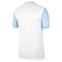 2020-2021 Slovenia Home Nike Football Shirt (KAMPL10)