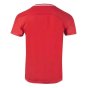 Croatia 2021 Polyester T-Shirt (Red)