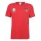 Belgium 2021 Polyester T-Shirt (Red) (LUKAKU 9)
