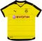 Borussia Dortmund 2015-16 Home Shirt (Hummels #15) (Excellent)