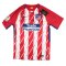 Atletico Madrid 2017-18 Home Shirt (Torres #9) (S) (Mint)