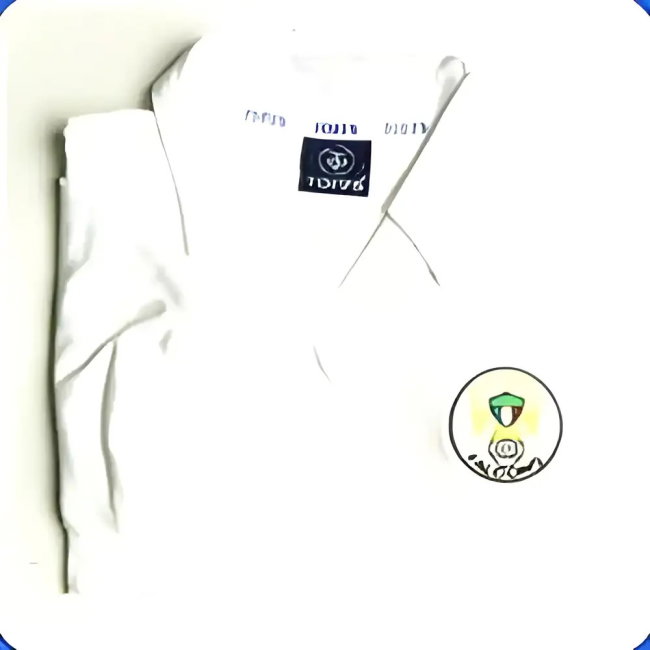 Toronto Falcons 1970s Shirt