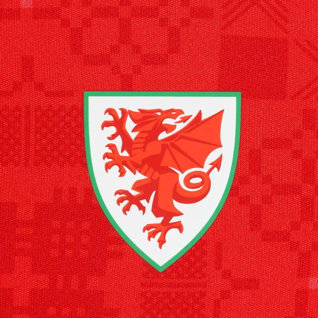 2026-2027 Wales SUDU Home Mini Kit