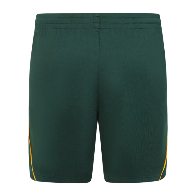 2026-2027 Wales Sudu Away Shorts (Green) - Kids
