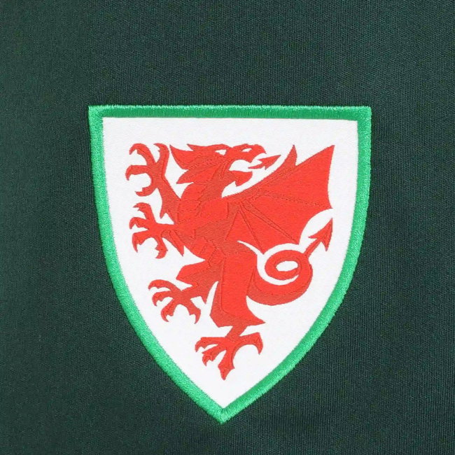 2026-2027 Wales Sudu Away Shorts (Green) - Kids