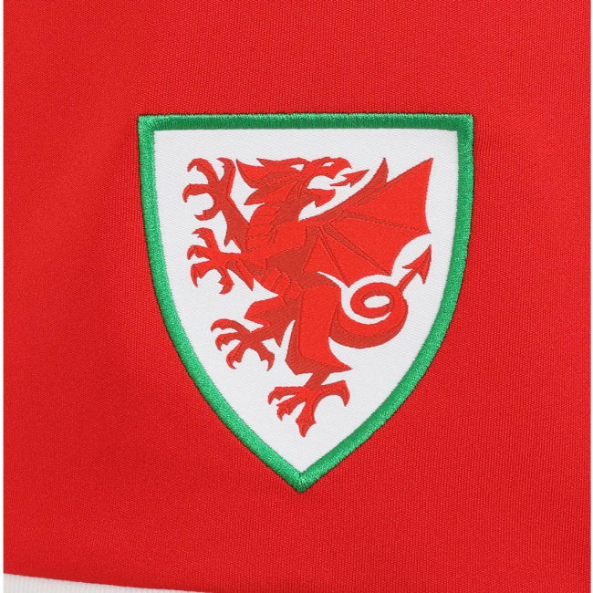 2026-2027 Wales SUDU Home Shorts (Red) - Kids