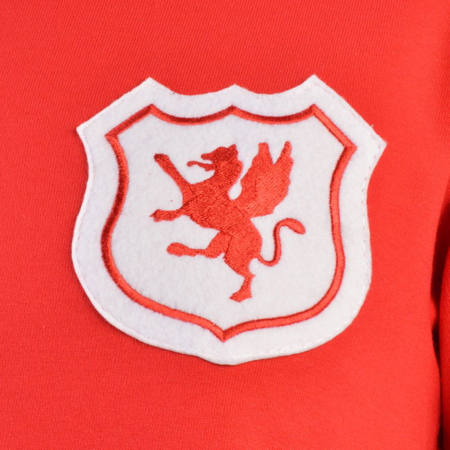 Wales Short Sleeve Kids Red Retro Football Shirt