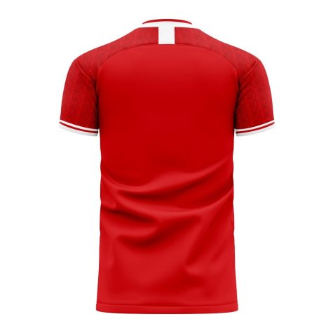 Al Ahly 2023-2024 Home Concept Football Kit (Libero)