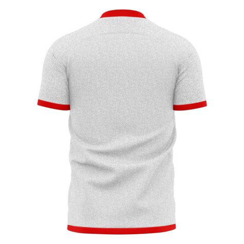 Algeria 2025-2026 Home Concept Football Shirt (Libero) (BRAHIMI 11)