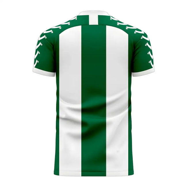 Banfield 2025-2026 Home Concept Football Kit (Viper)