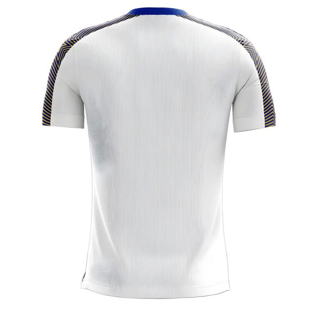 Boca Juniors 2025-2026 Away Concept Football Kit (Libero) (MARADONA 10)