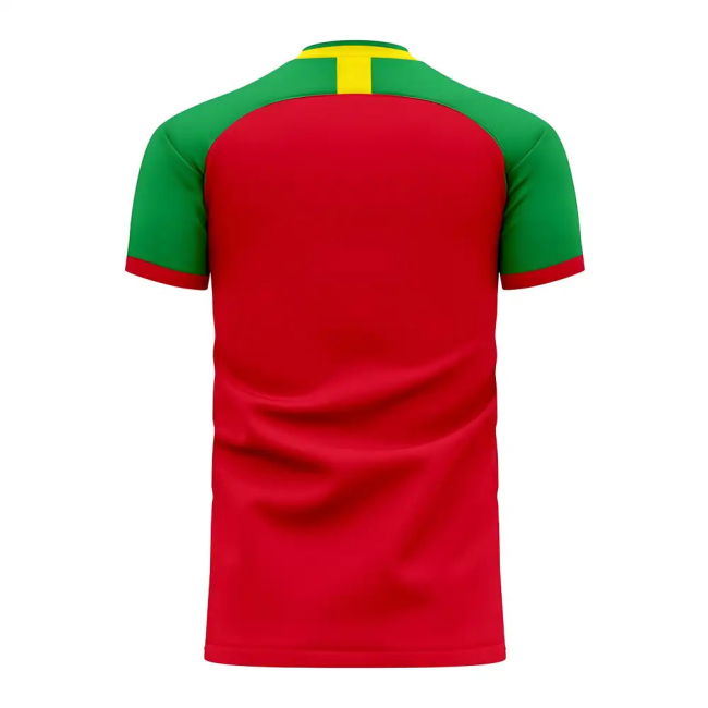 Guinea 2025-2026 Home Concept Football Kit (Libero)