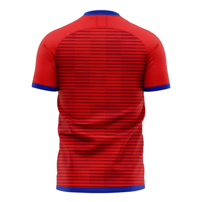 South Korea 2025-2026 Home Concept Football Kit (Libero) (J S PARK 7)
