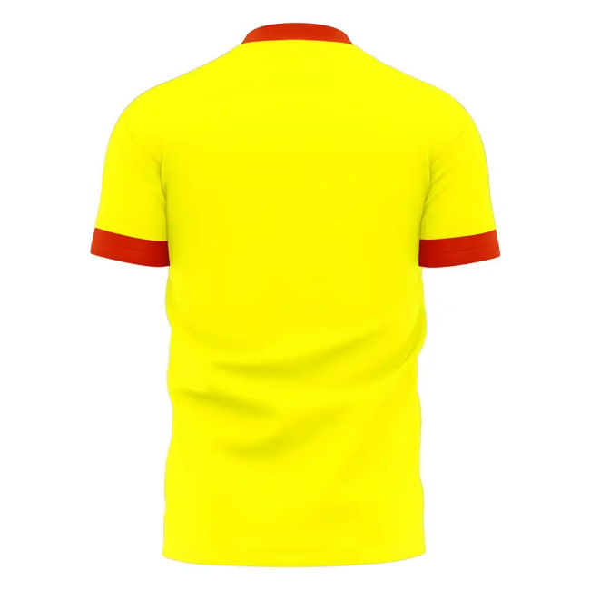 Le Mans 2025-2026 Home Concept Football Kit (Libero) - Baby