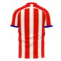 Liberia 2021-2022 Home Concept Football Kit (Libero) - Womens