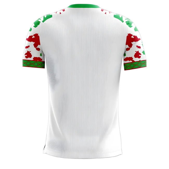 Myanmar 2025-2026 Home Concept Football Kit (Libero)