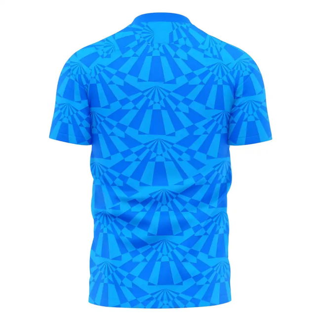 Napoli 1990s Home Concept Football Kit (Libero) (HAMSIK 17)