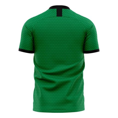 Nigeria 2020-2021 Home Concept Football Kit (Libero) (OSIMHEN 9)