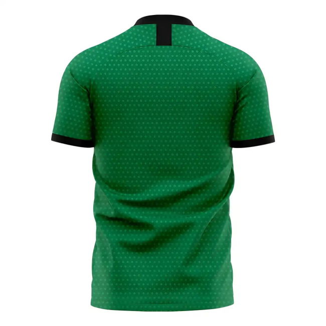 Nigeria 2025-2026 Home Concept Football Kit (Libero) (OKOCHA 10)