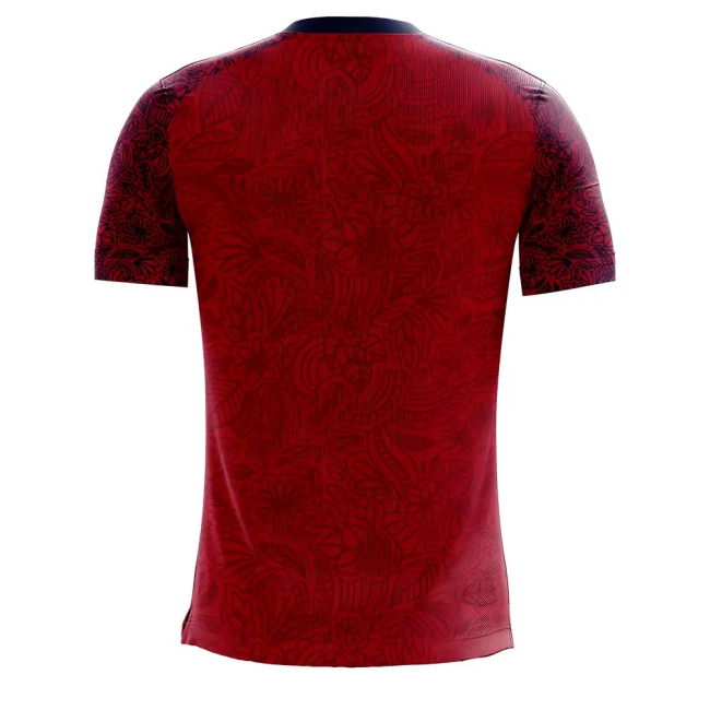 Norway 2025-2026 Home Concept Football Kit (Airo) (ODEGAARD 10)