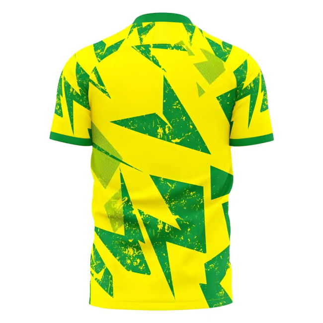 Norwich 2025-2026 Home Concept Football Kit (Libero)