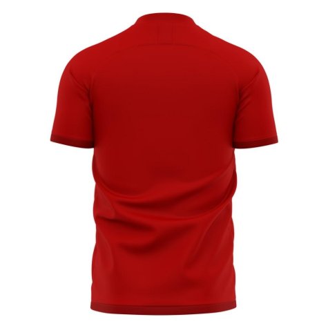 Nurnberg 2022-2023 Home Concept Football Kit (Libero)