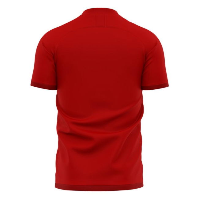 Nurnberg 2025-2026 Home Concept Football Kit (Libero)