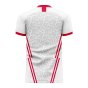 Poland 2022-2023 Home Concept Football Kit (Libero) (ZIELINSKI 20)