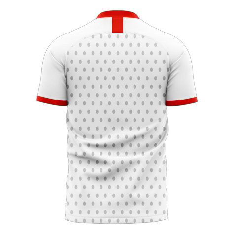 Portugal 2024-2025 Away Concept Football Kit (Libero) (PAULETA 9)