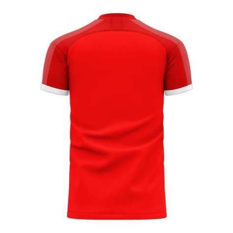 Serbia 2025-2026 Home Concept Football Kit (Libero)