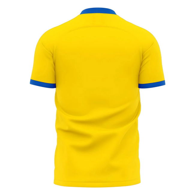 We Are With You Ukraine Concept Football Kit (Libero)