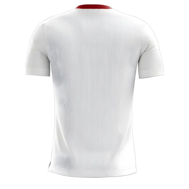 Torino 2025-2026 Away Concept Football Kit (Airo)