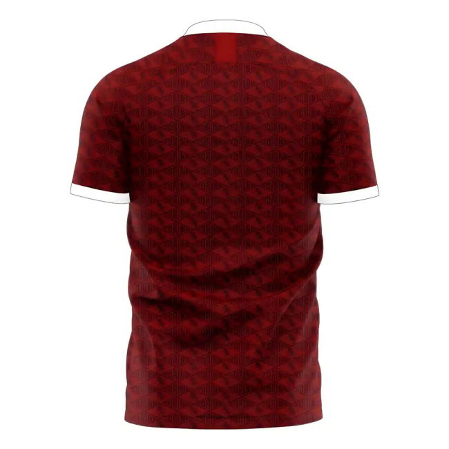 Torino 2025-2026 Home Concept Football Kit (Libero)