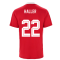 2021-2022 Ajax Training Jersey (Red) (HALLER 22)