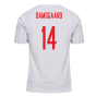 2022-2023 Denmark Away Shirt (Damsgaard 14)