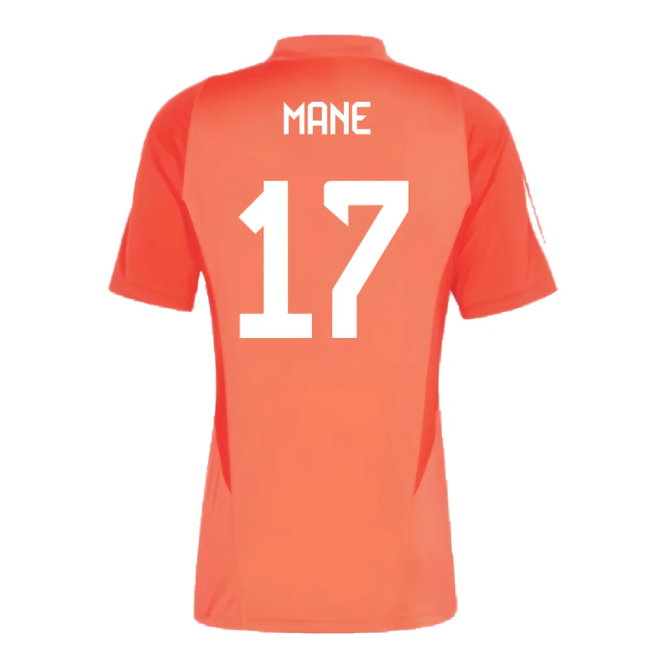 2023-2024 Bayern Munich Training Jersey (Red) (Mane 17)