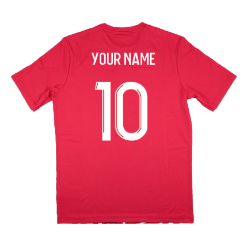 2023-2024 Lille LOSC Pre-Game Jersey (Home) (Your Name)