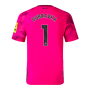 2023-2024 Newcastle Third Goalkeeper Shirt (Pink) (DUBRAVKA 1)