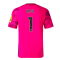 2023-2024 Newcastle Third Goalkeeper Shirt (Pink) (KRUL 1)