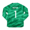 2023-2024 PSG Goalkeeper Long Sleeve Shirt (Green) (BUFFON 1)
