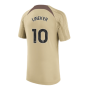 2023-2024 Tottenham Training Shirt (Gold) - Kids (Lineker 10)