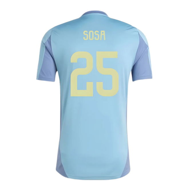 2024-2025 Ajax Training Jersey (Tactile Steel) (Sosa 25)