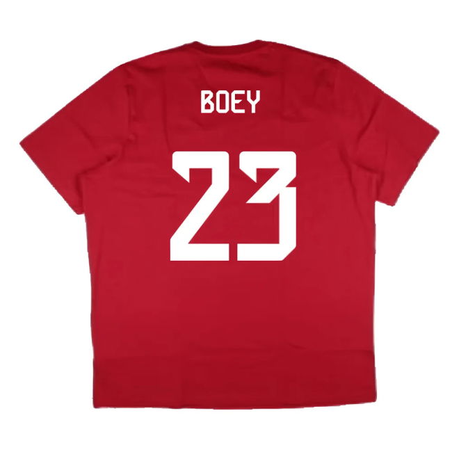 2024-2025 Bayern Munich DNA Graphic Tee (Red) (Boey 23)
