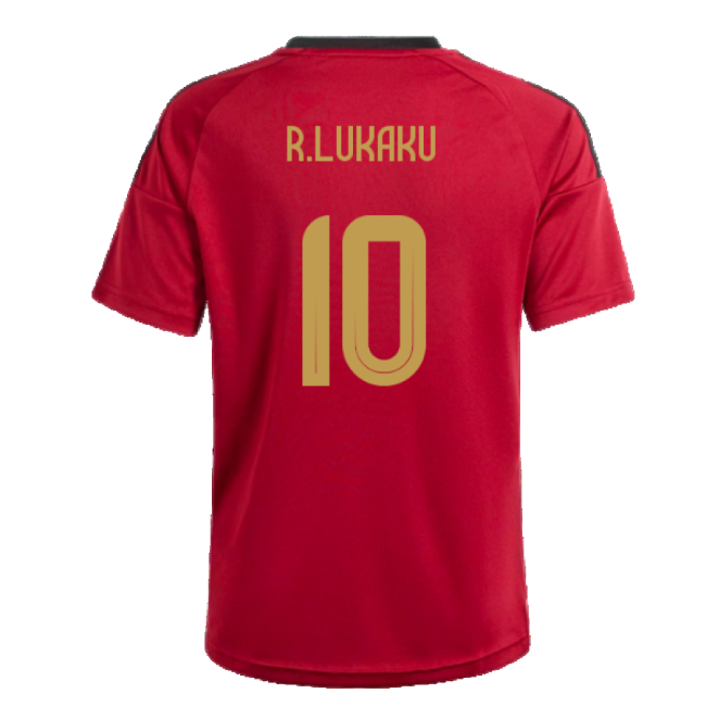 2024-2025 Belgium Home Fan Shirt (Kids) (R.Lukaku 10)