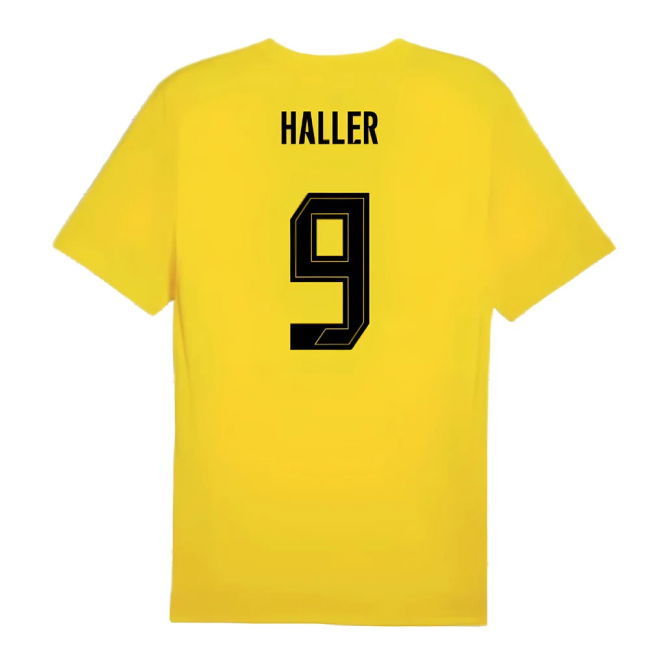 2024-2025 Borussia Dortmund Training Shirt (Yellow) (Haller 9)