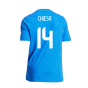 2024-2025 Italy DNA Graphic Tee (Blue) (CHIESA 14)