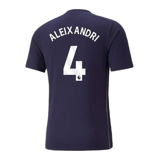 2024-2025 Man City Casuals Tee (Navy) (Aleixandri 4)