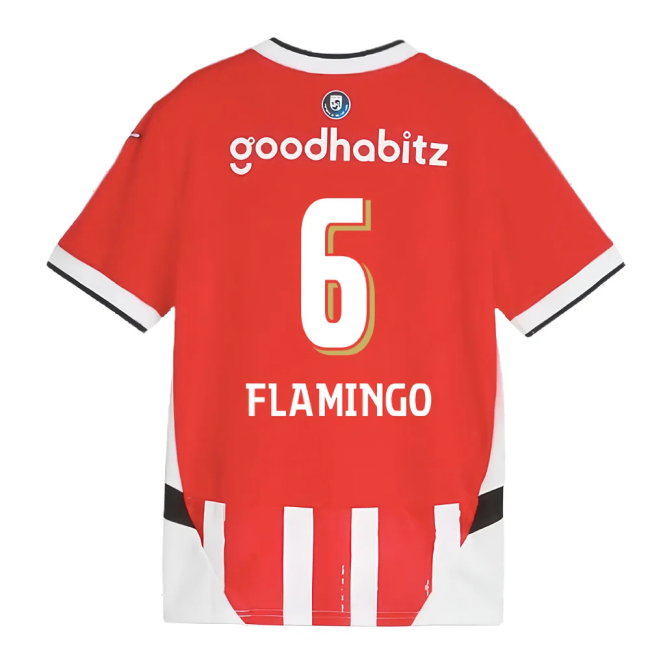 2024-2025 PSV Eindhoven Home Shirt (Kids) (Flamingo 6)